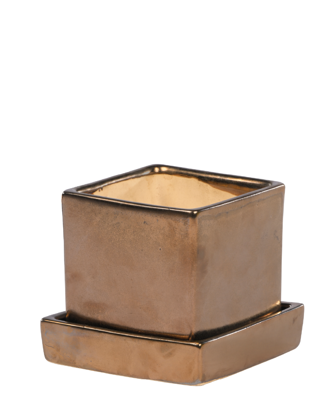 COMPACT NEST (Ceramic Square planter with plate-Metallic)