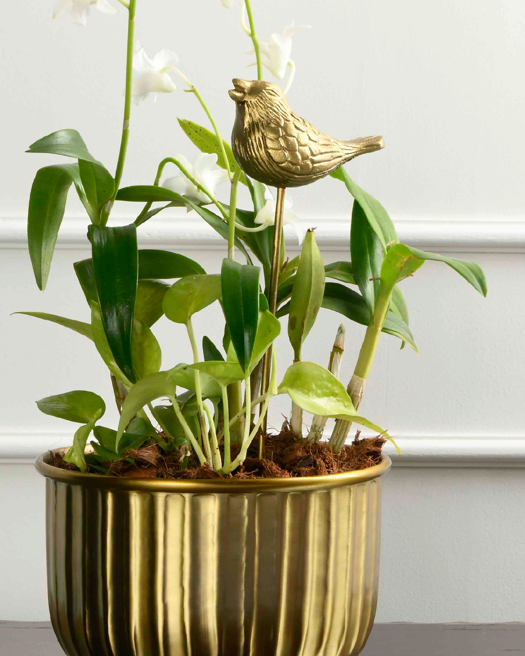 Bird Garden stick