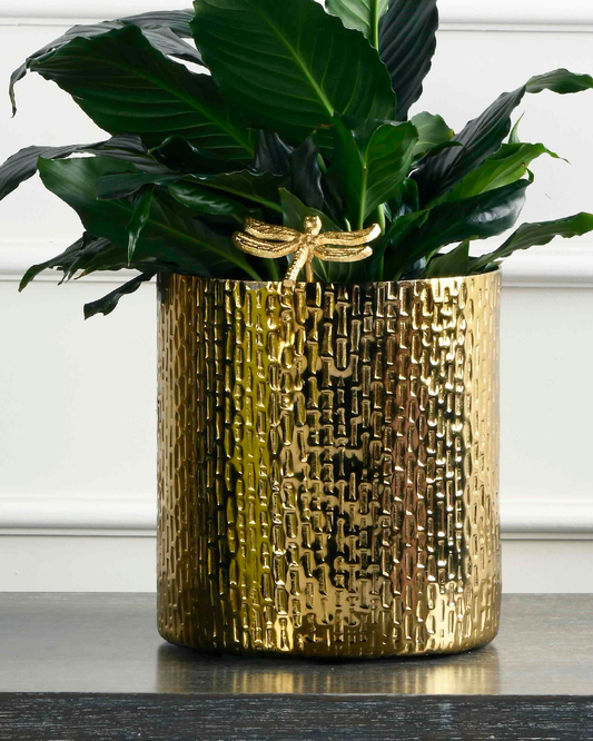 Dragon Fly Decorative Accent