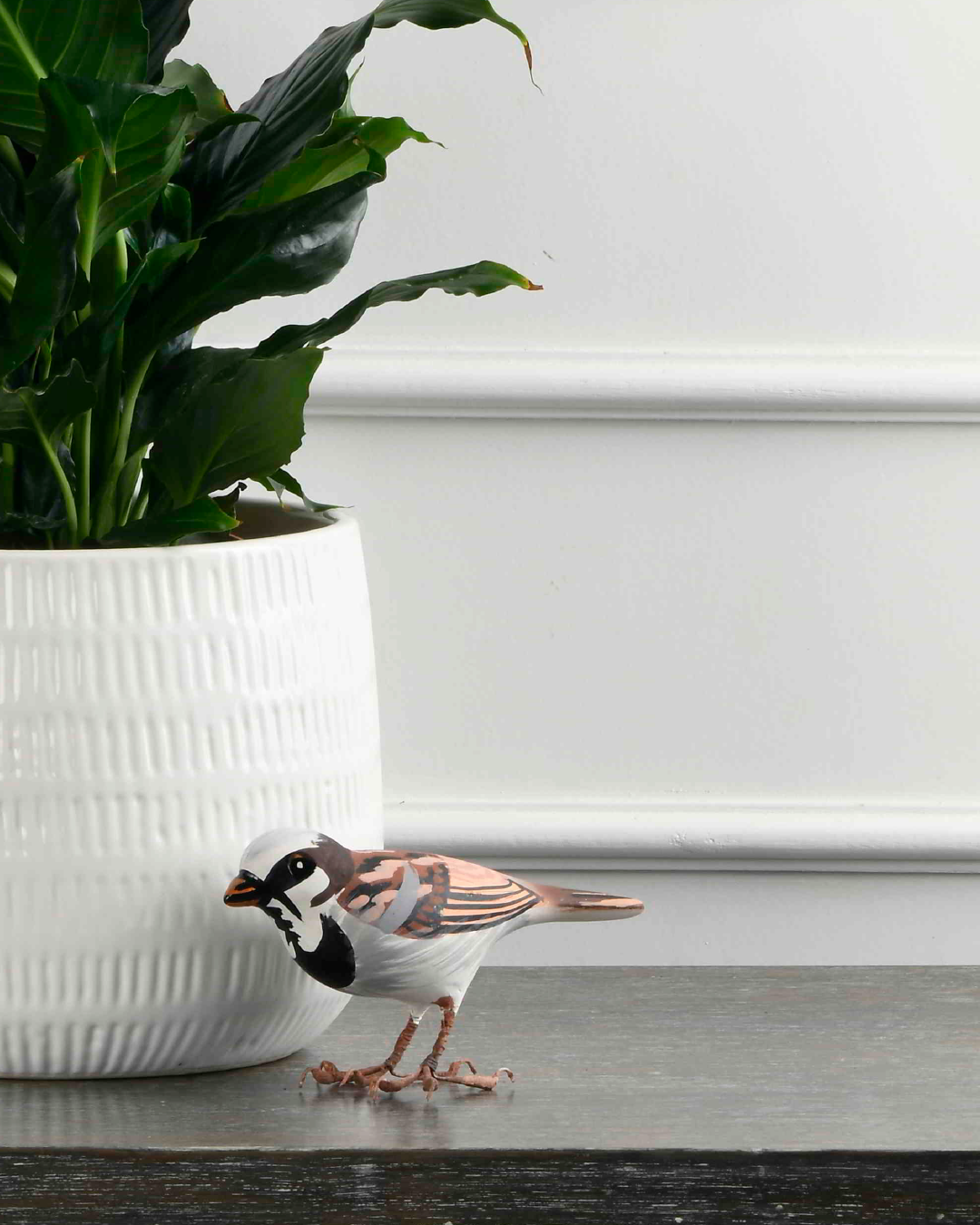 Bird Brown