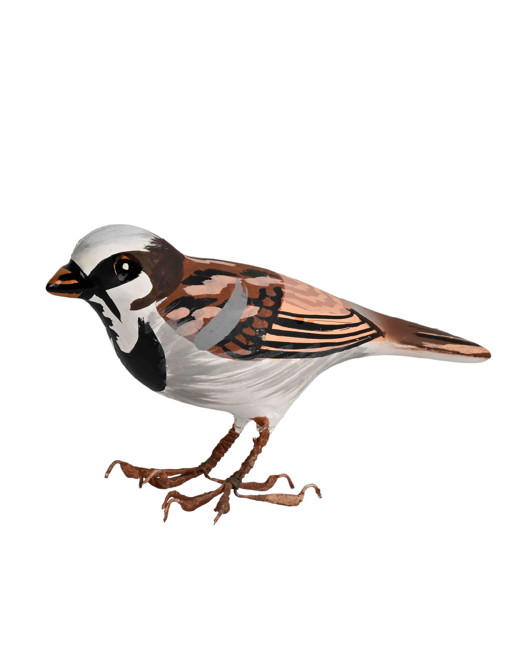 Bird Brown