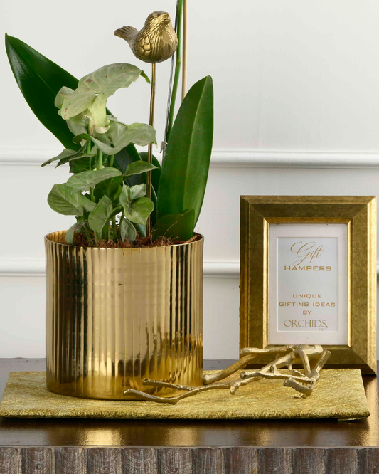 Twig Decorative Accent