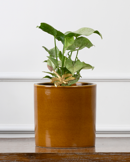 QUIET NEST (Pipe Planter-Brown)