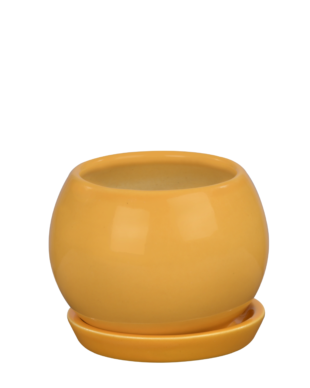 PETIT NEST (Ceramic Round planter with plate- Yellow)
