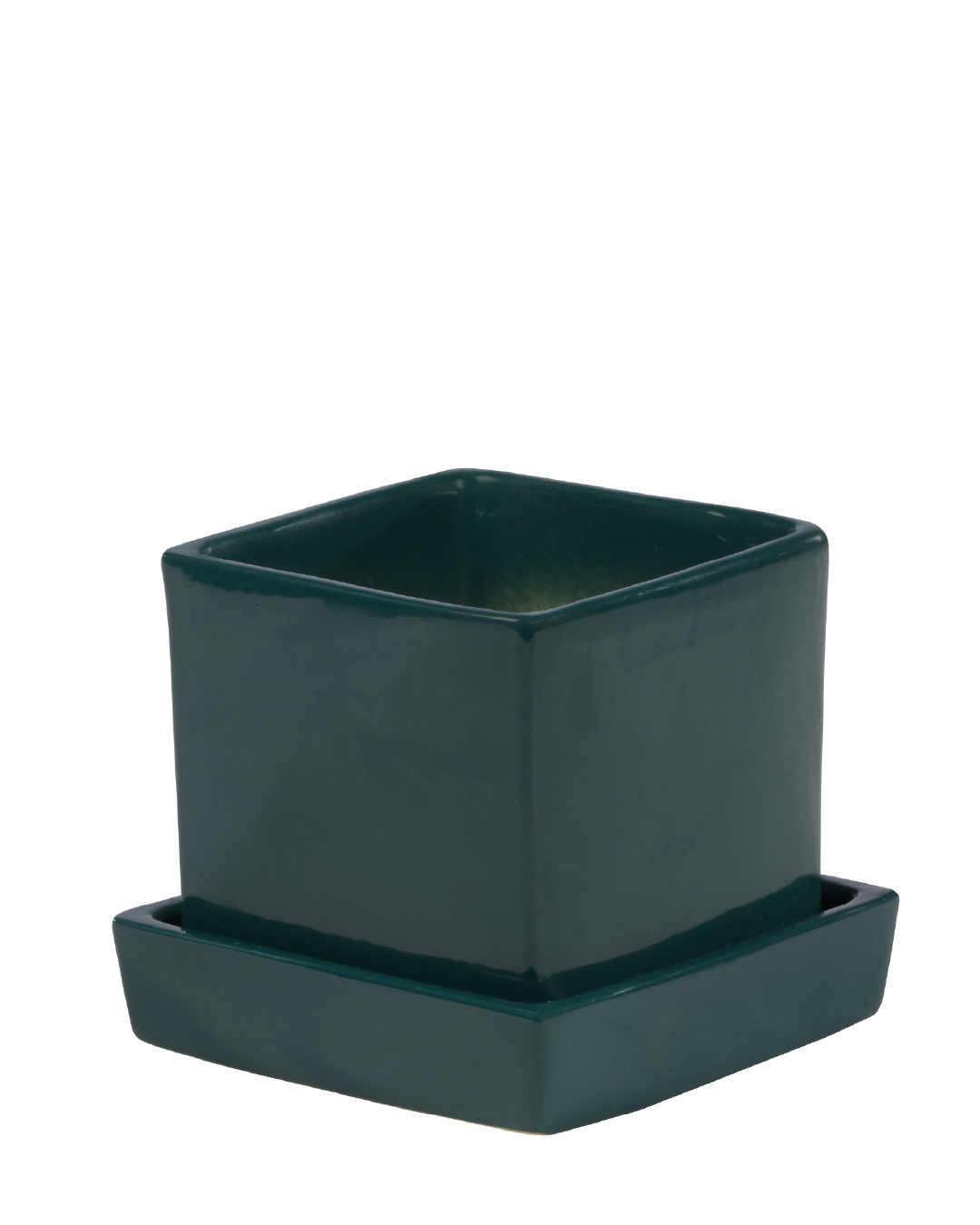 COMPACT NEST (Ceramic Square planter with plate-Green)