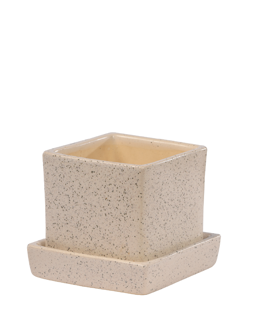 COMPACT NEST (Ceramic Square planter with plate-White spots)