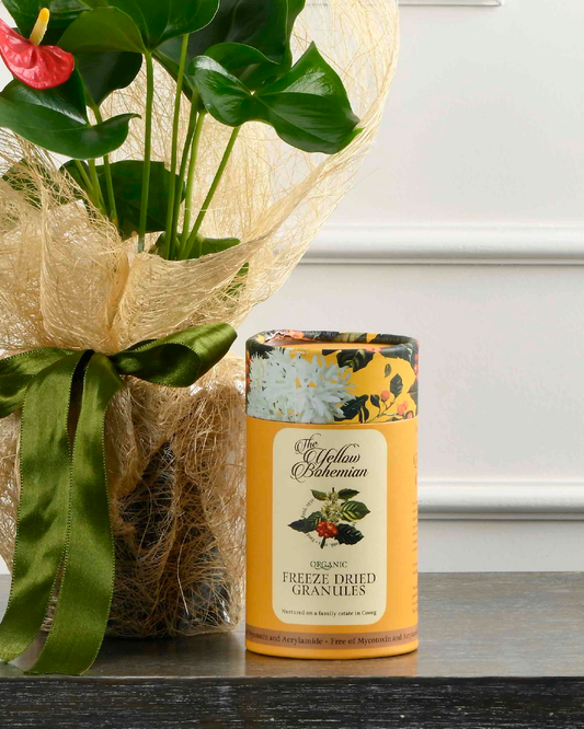 Yellow Bohemian-  Freeze Dried Coffee Granules