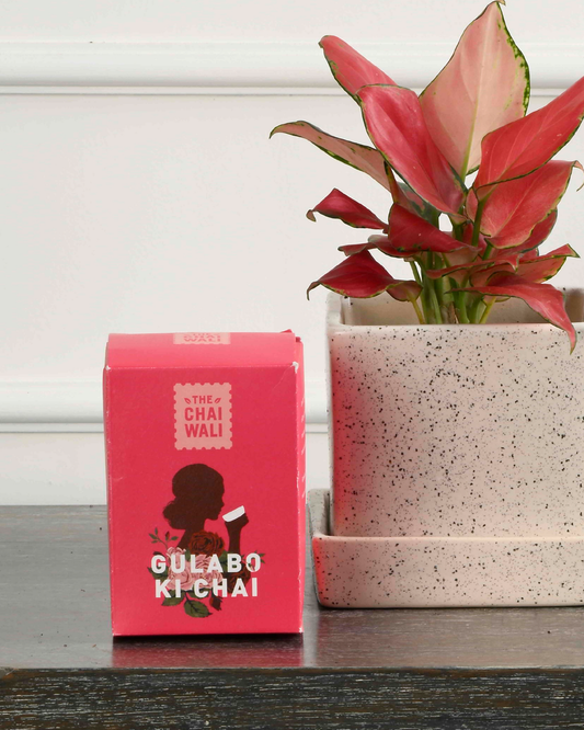 Chaiwali Gulabo Ki Chai