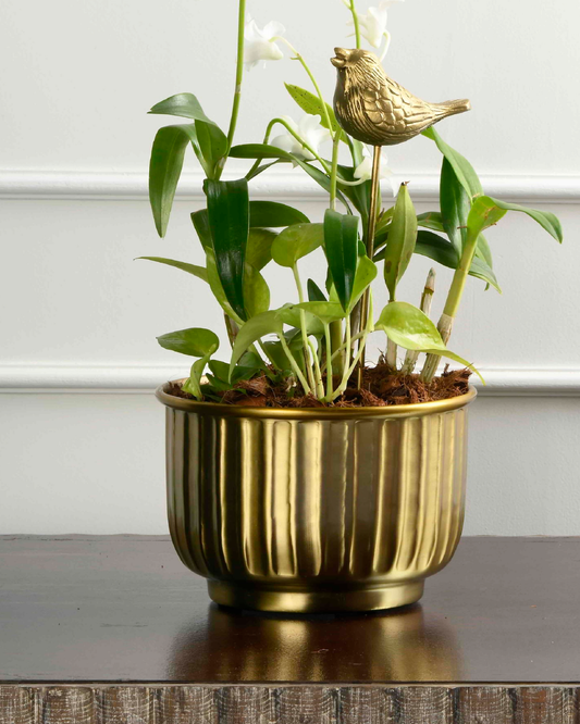AURA NEST (Metal Planter with base - Flutted)