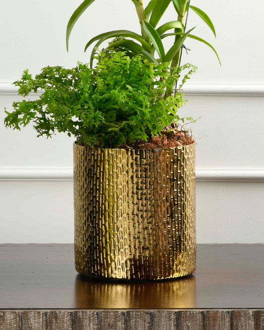 GLOWING NEST (Metal Planter -Texture)