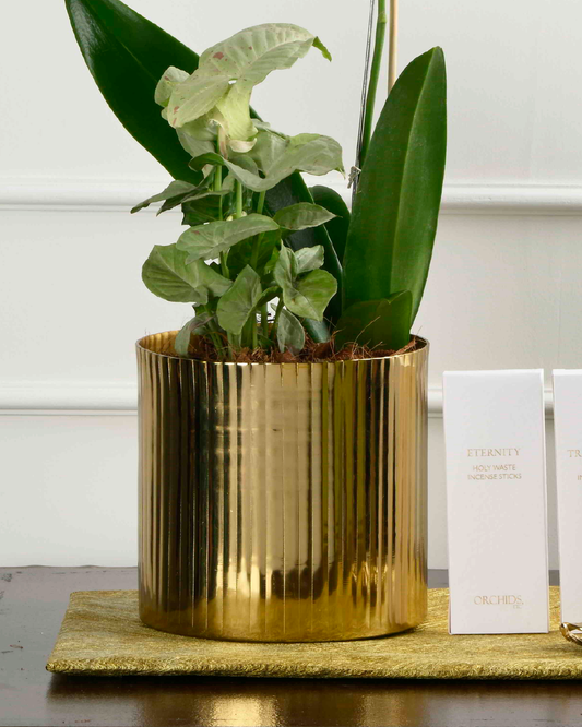 GILDED NEST (Metal Planter -Flutted)