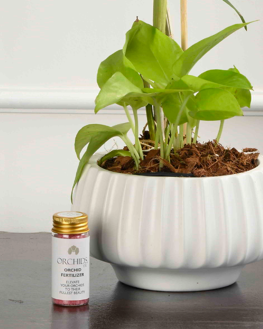 Orchid Fertilizer